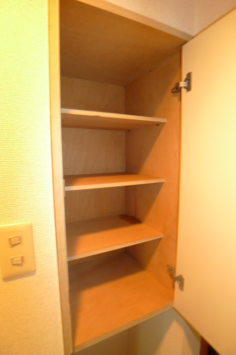 Other. Plenty of shoe box