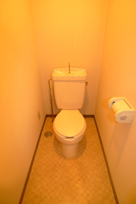 Toilet. One time enjoy in the toilet! ?