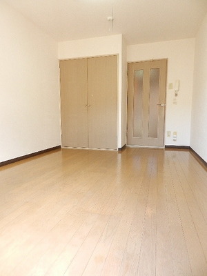 Living and room. Flooring closet