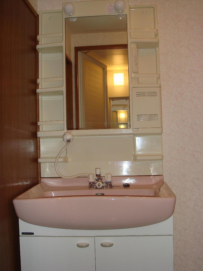 Washroom. Shampoo dresser