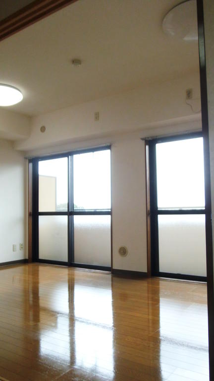 Living and room. South-facing sunny
