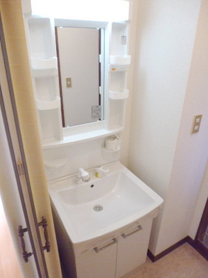 Washroom. Independent wash basin