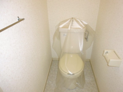 Toilet. Bathroom