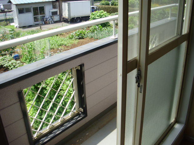 Balcony. Veranda