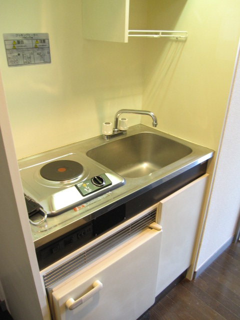 Kitchen. Mini kitchen modestly to living alone size