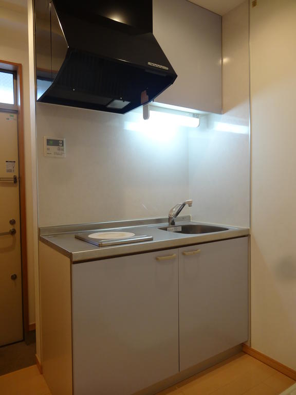 Kitchen. IH cooking heater with kitchen