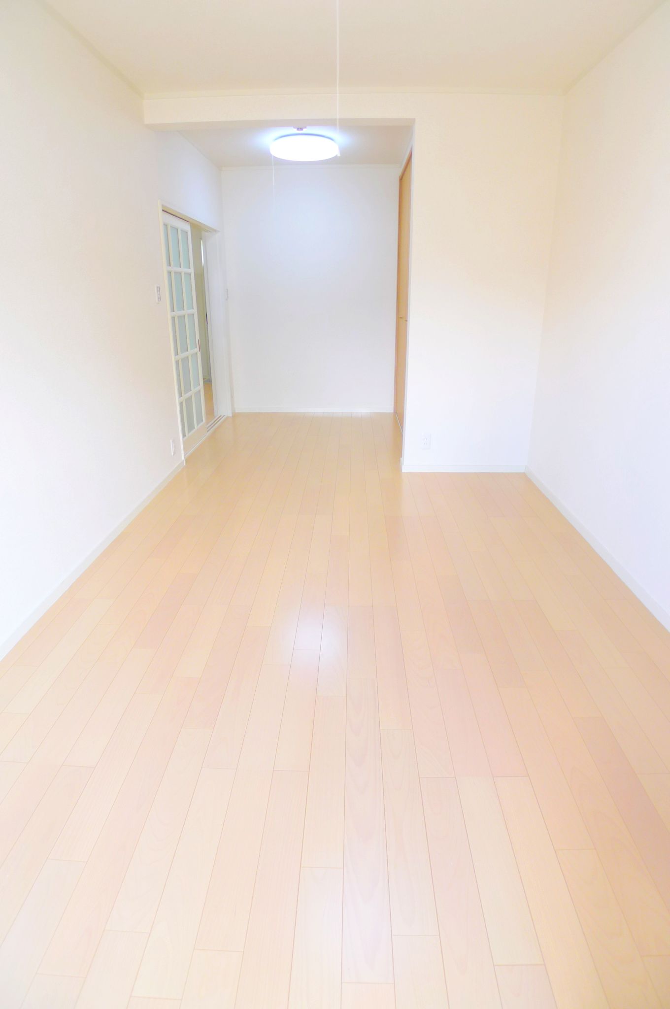 Living and room. Bright living room