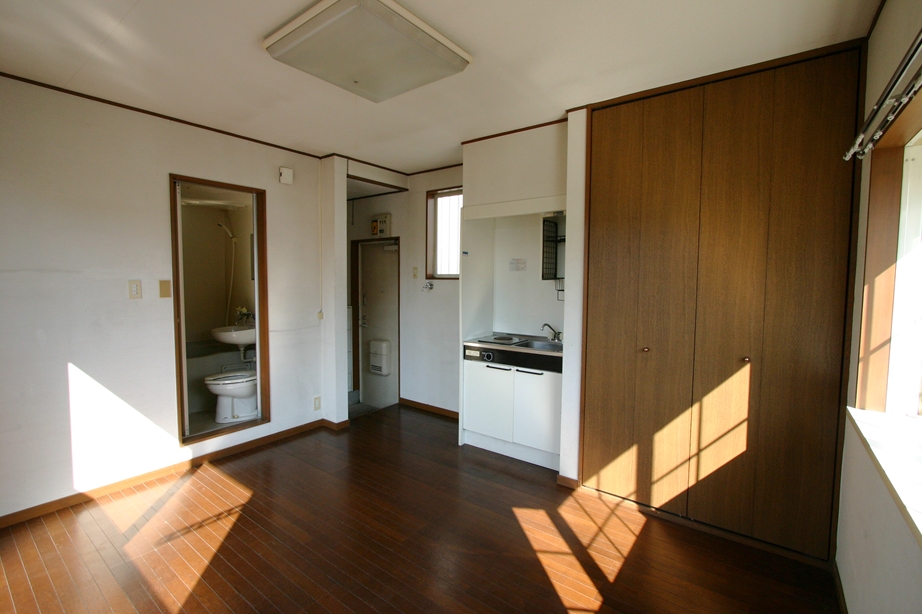 Living and room. This is a compact but necessary and sufficient equipment! 