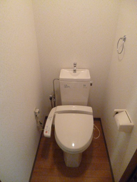Toilet. Bidet