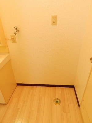 Washroom. Washing machine in the room