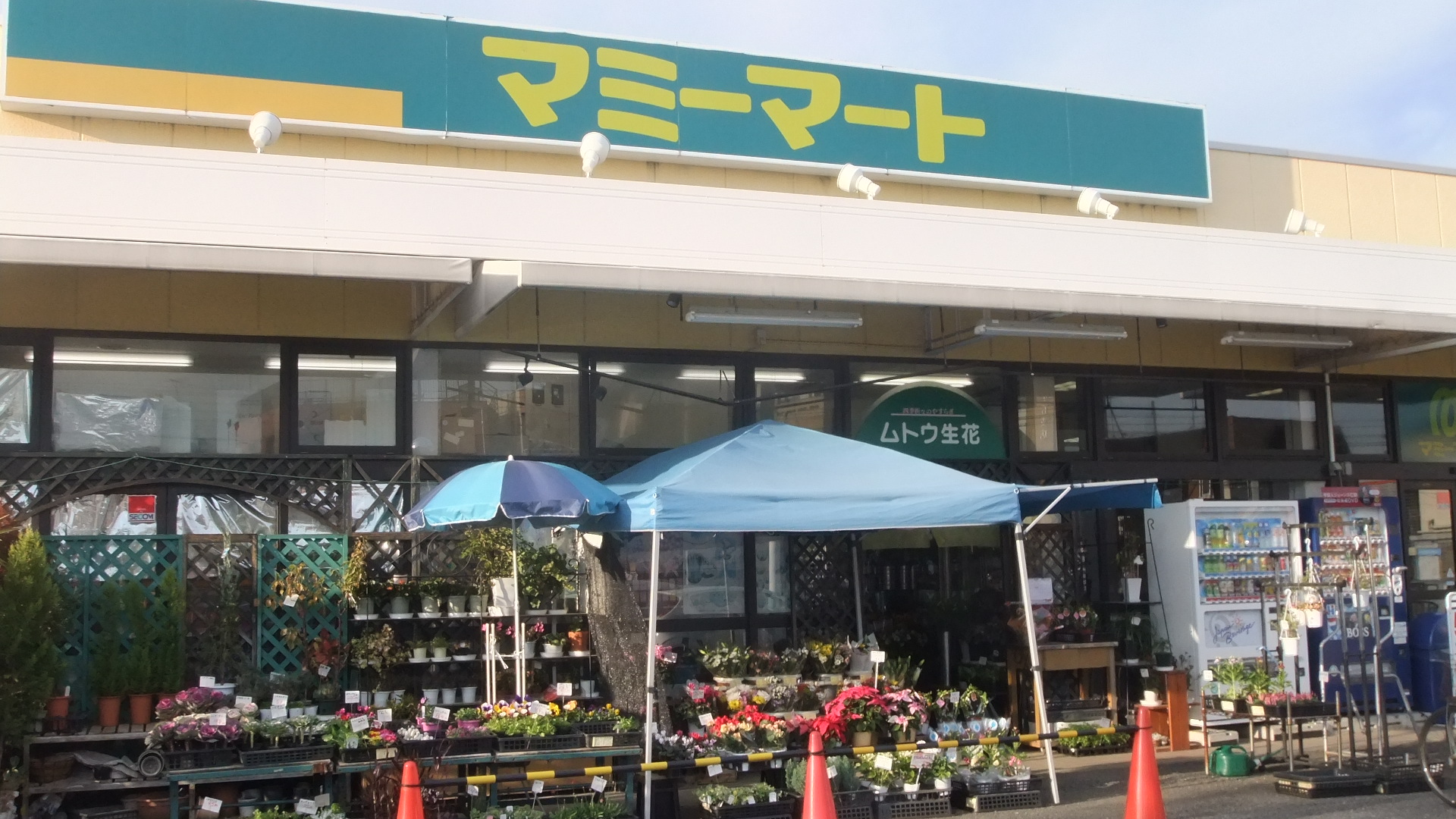 Supermarket. Mamimato Sayamagaoka store up to (super) 551m