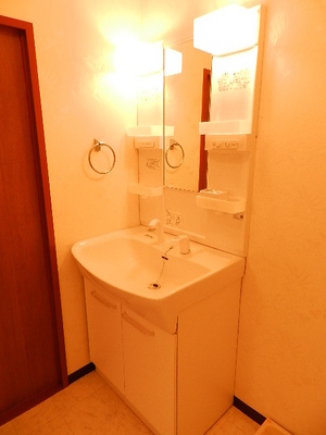Washroom. Shampoo dresser
