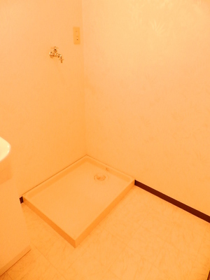 Washroom. Washing machine in the room