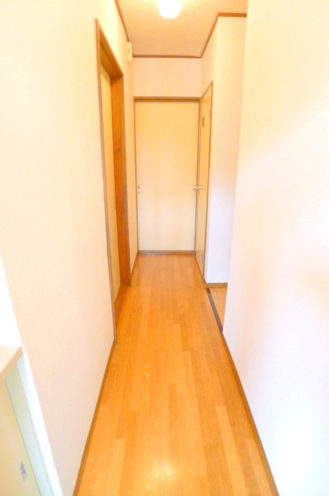 Entrance. There corridor