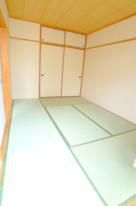 Living and room. A bright room