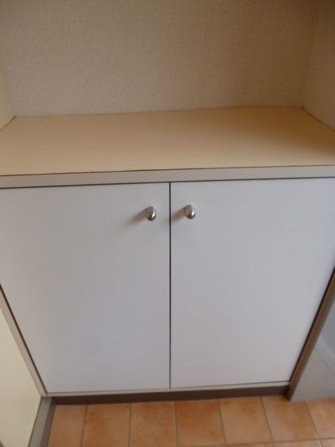 Entrance. Cupboard