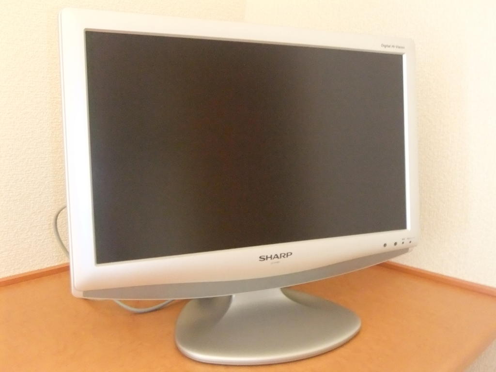 Other. TV (there is a possibility that the product may be changed. )
