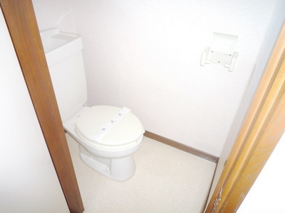 Toilet. Toilet