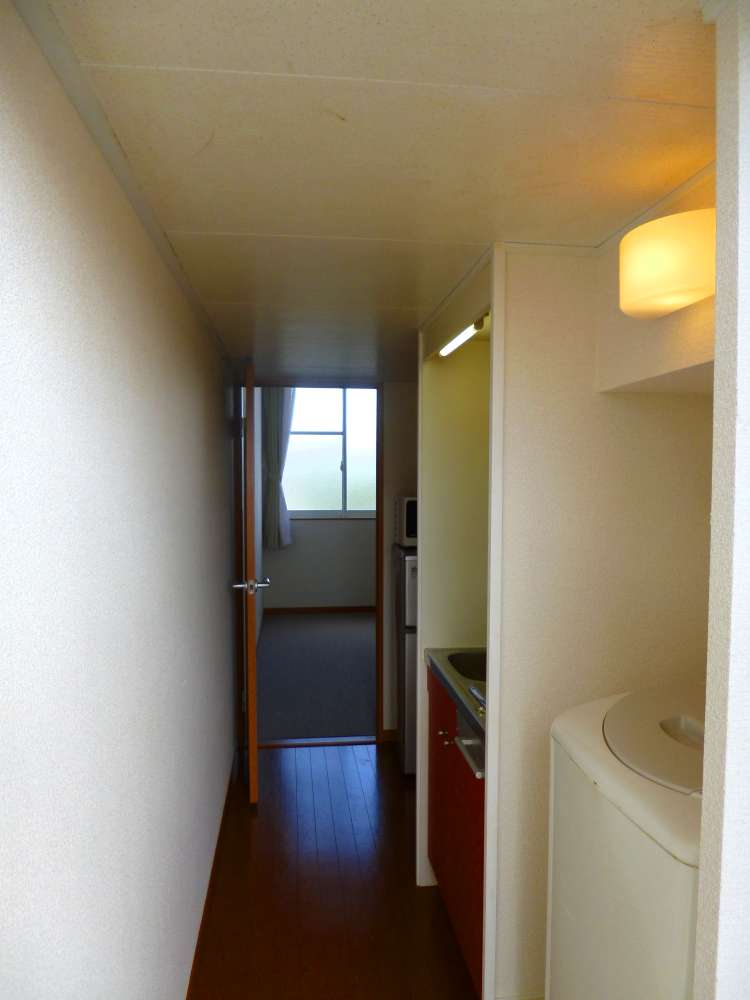 Entrance. Corridor section from the entrance to the living room.