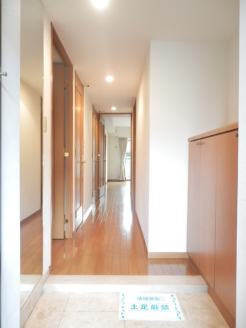 Entrance. There is a mirror for the full-length mirror in the foyer.
