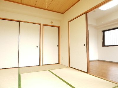 Living and room. closet