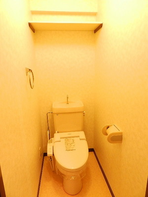 Toilet. Bidet