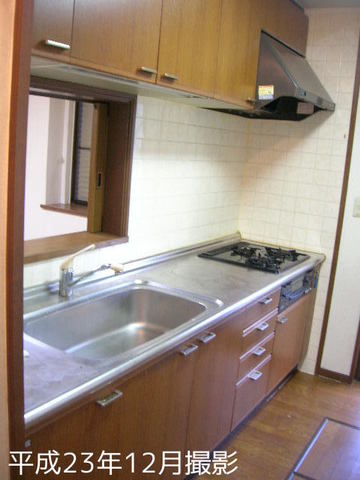 Kitchen. The kitchen comes with a back door