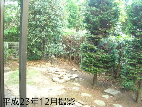 Garden. In the south side of the garden, Why do not you planting flowers