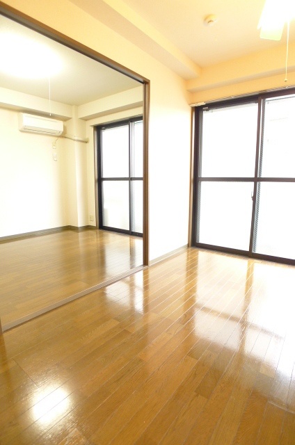 Living and room. Spacious room