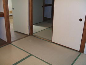 Other room space. Japanese style room
