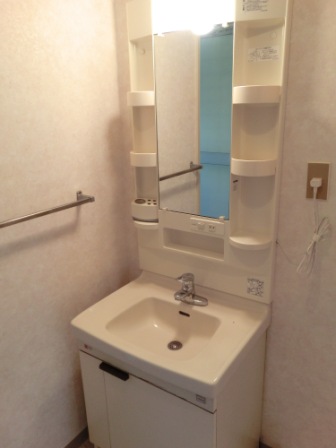 Washroom. Independent sink and washing machine inside the yard