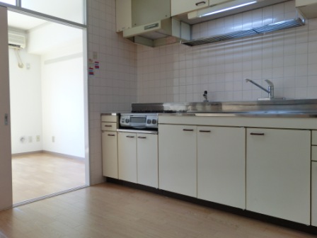 Living and room. Kitchen space