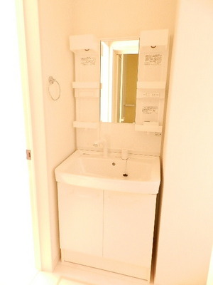 Washroom. Shampoo dresser