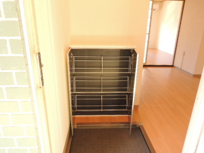 Entrance. Shoe box