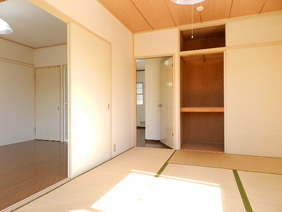 Living and room. Japanese-style room closet