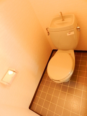 Toilet. The back of the toilet is toilet