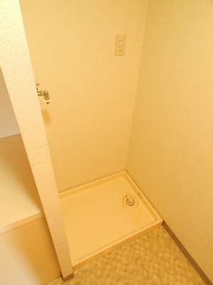 Other room space. Washing machine in the room