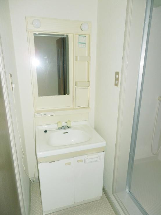Washroom. Wash basin