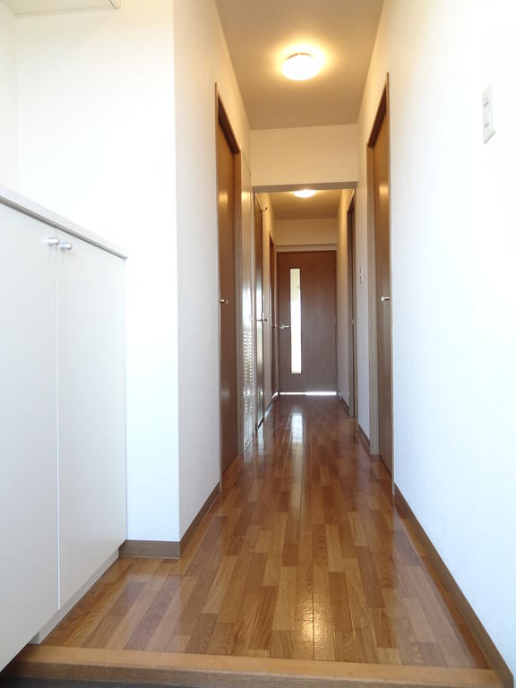 Entrance. Entrance hall. There cupboard.