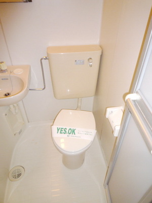Toilet. Toilet