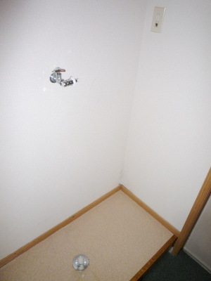 Washroom. Washing machine in the room