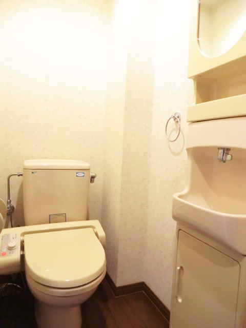 Toilet
