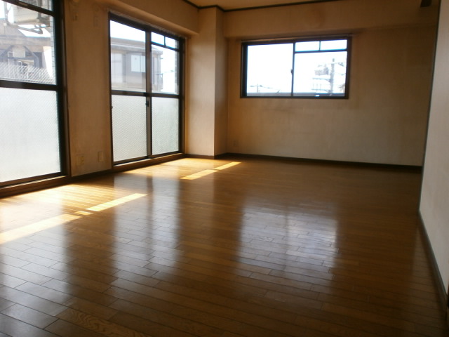 Living and room. Living
