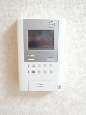Security. Monitor with intercom