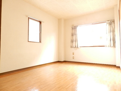 Living and room. Sunny room