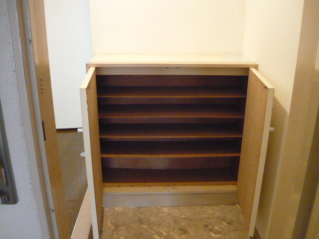 Entrance. Entrance with a cupboard