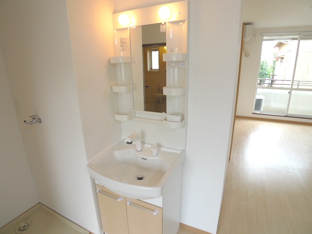 Washroom. Shampoo dresser