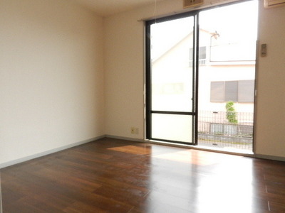 Living and room. Bright room