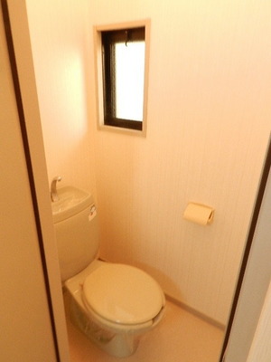 Toilet. With window