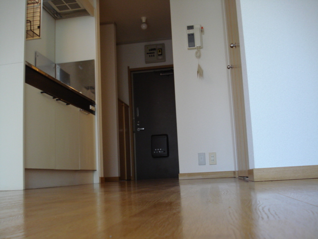 Living and room. Kitchen space